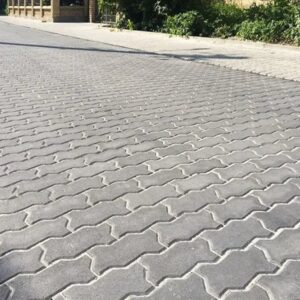 Тротуарна плитка “Змійка” Одношарова